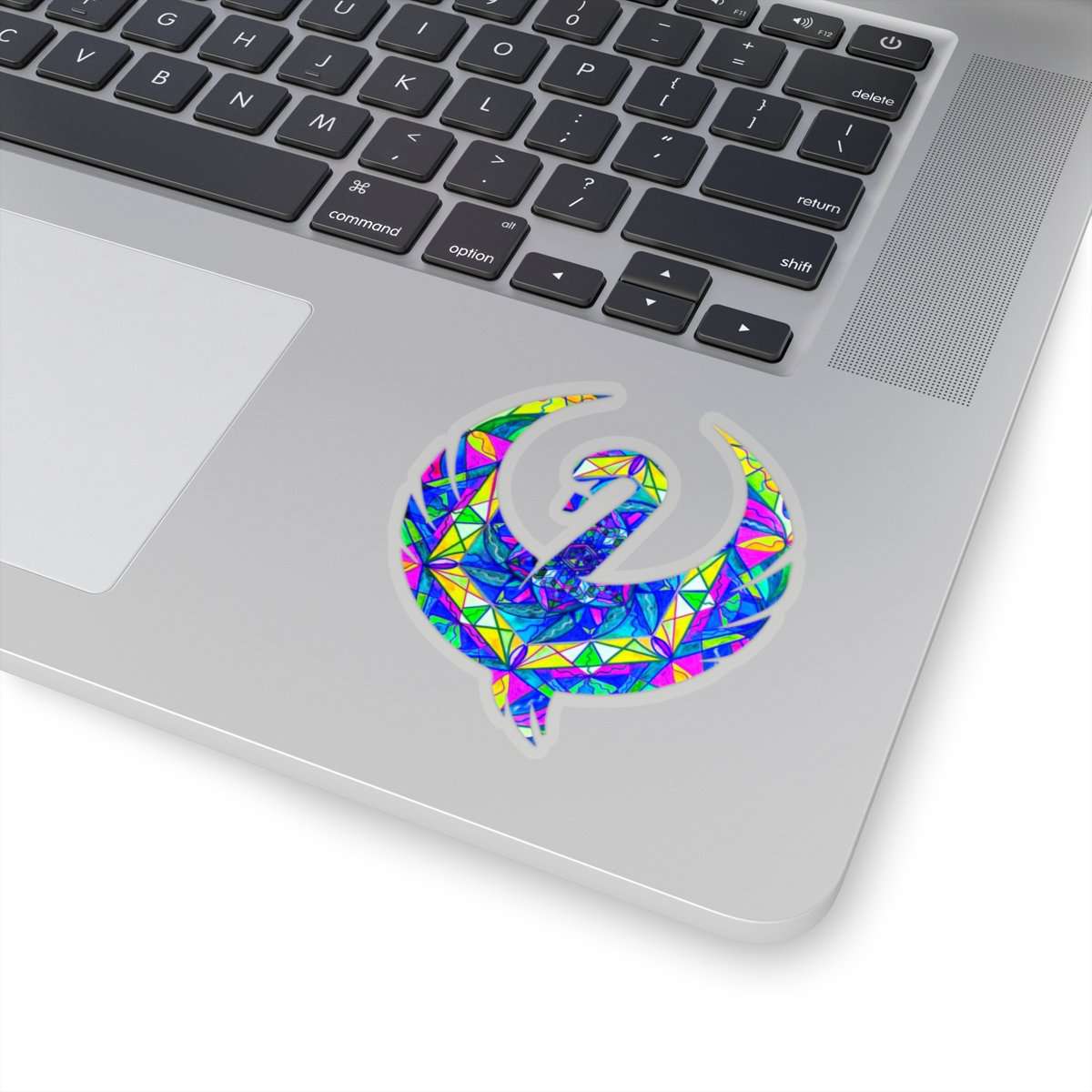 best-online-positive-focus-swan-stickers-hot-on-sale_5.jpg