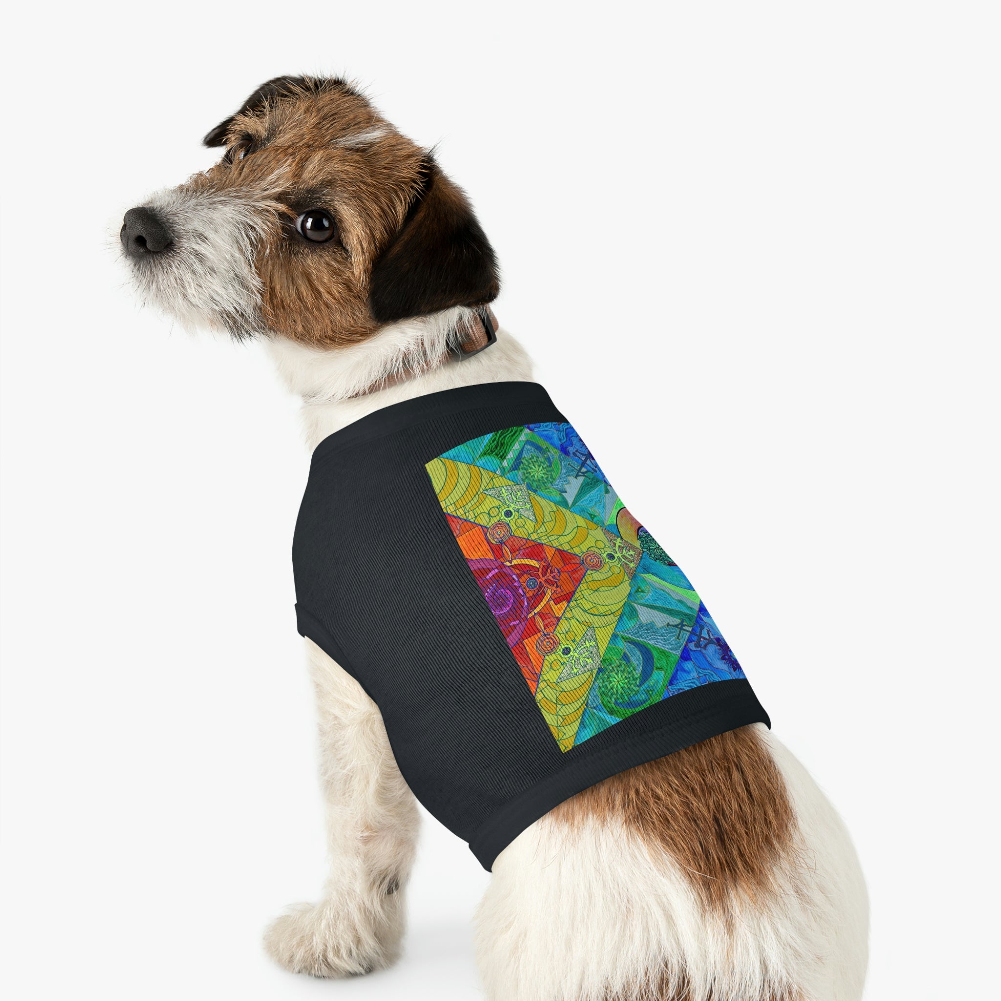 clearance-expansion-pleiadian-lightwork-model-pet-tank-top-online-now_1.jpg