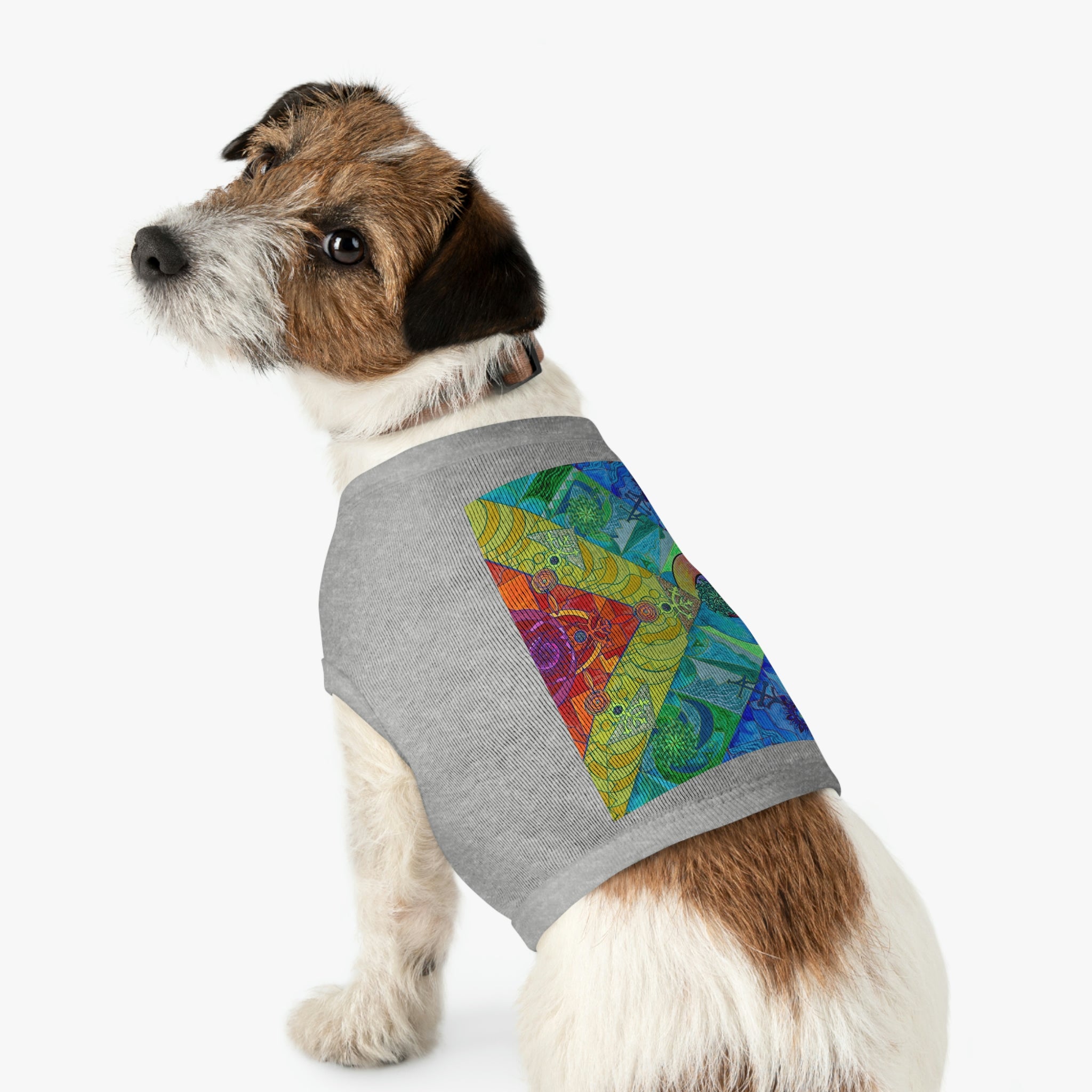 clearance-expansion-pleiadian-lightwork-model-pet-tank-top-online-now_5.jpg