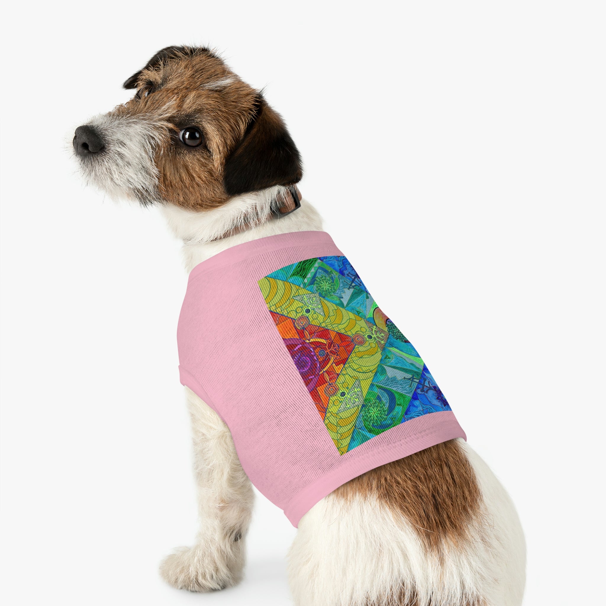 clearance-expansion-pleiadian-lightwork-model-pet-tank-top-online-now_7.jpg